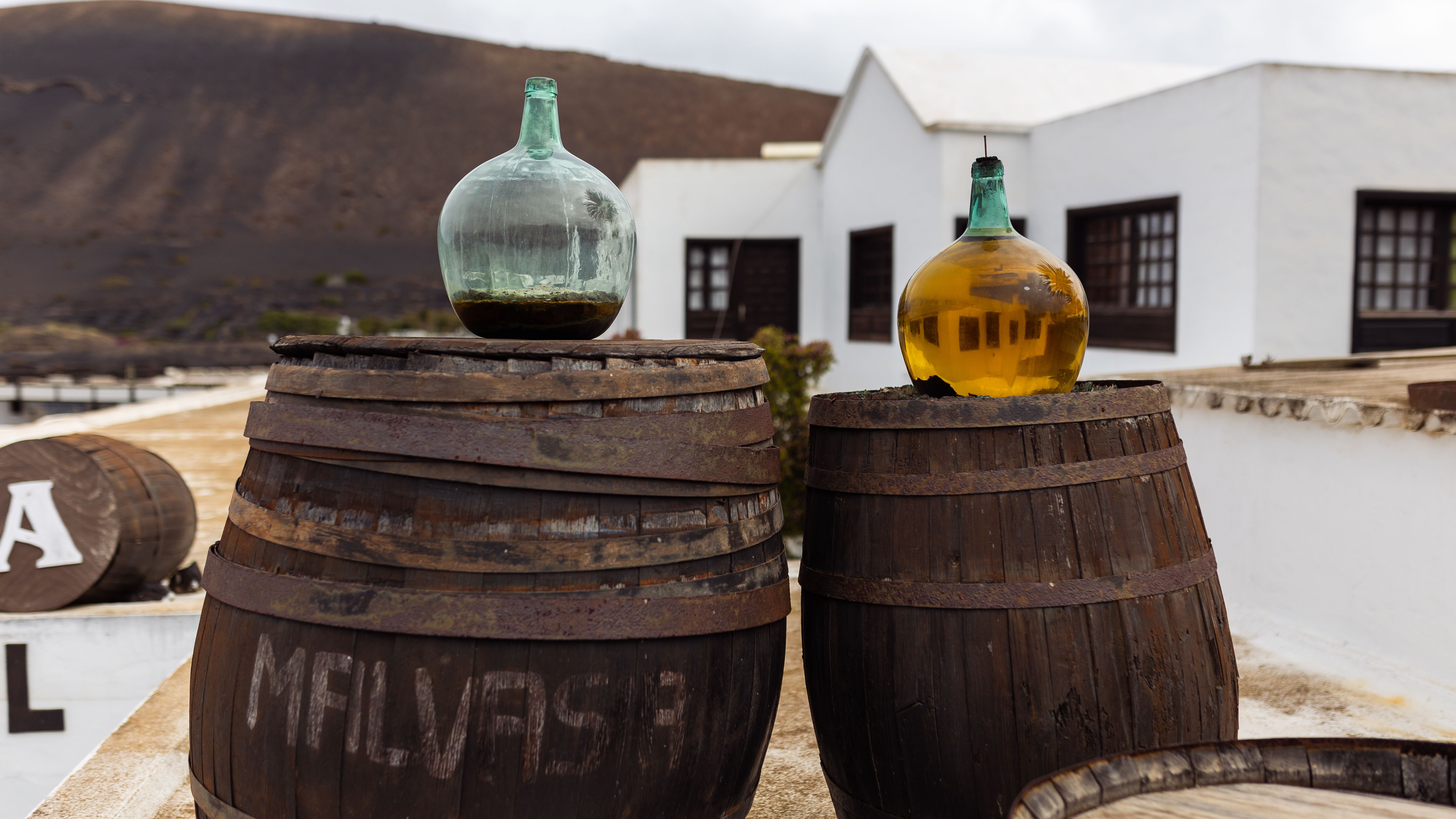 The island is full of surprises, including volcanic vineyards
