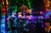 Christmas lights wrapped around and on trees and reflected on water in a garden setting at night.
