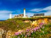 Pink flowers and rocky cliff with lighthouse and stone buildings.