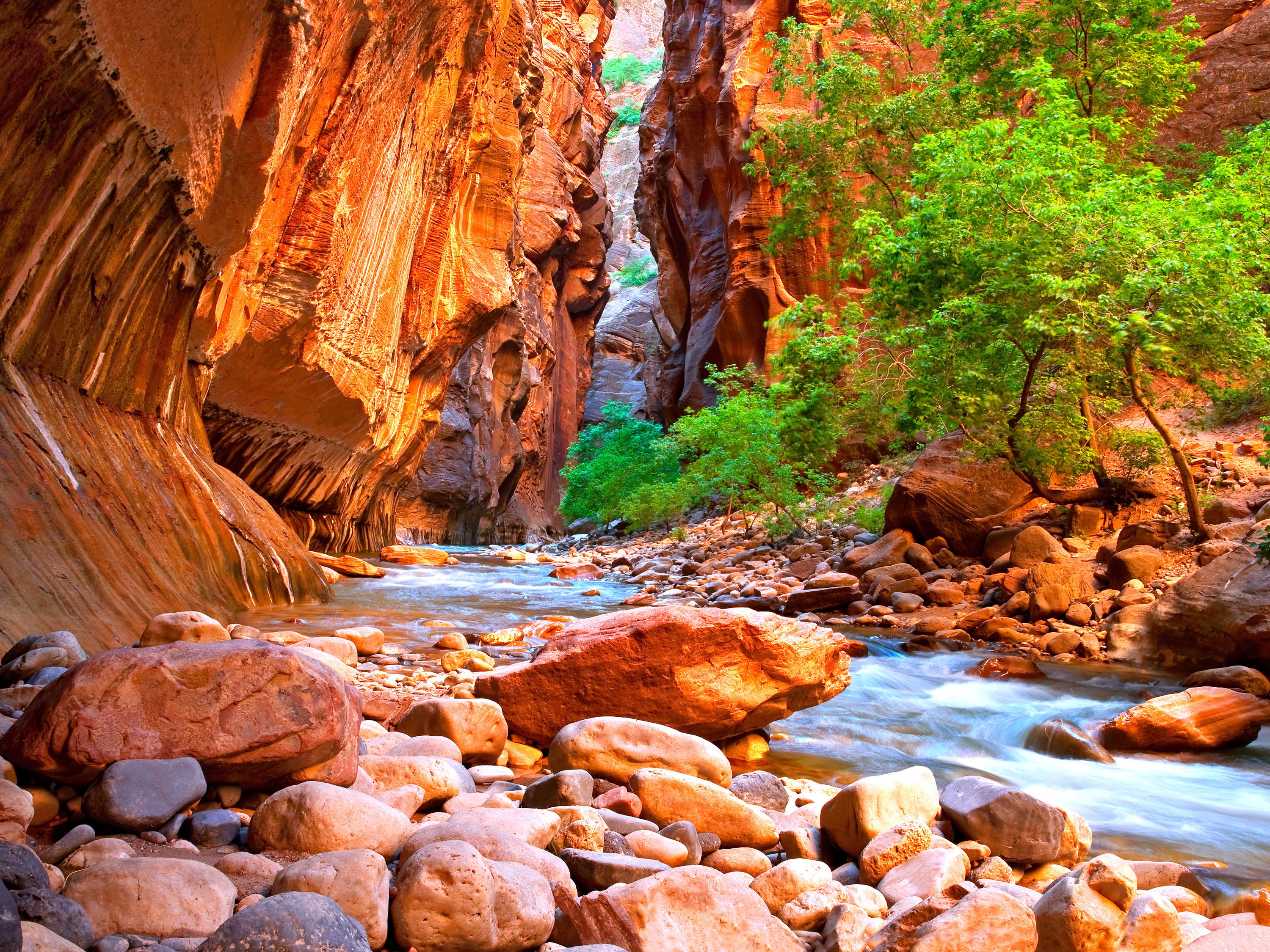 Large rocks in a stream near narrows path