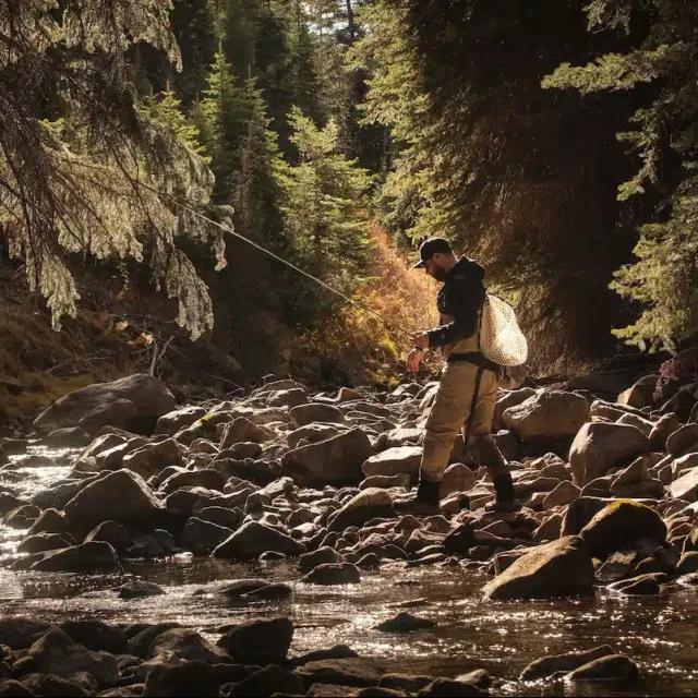 A man in fishing clothes stands on a rocky shoreline in a forest looking down into a stream and carrying a fishing rod