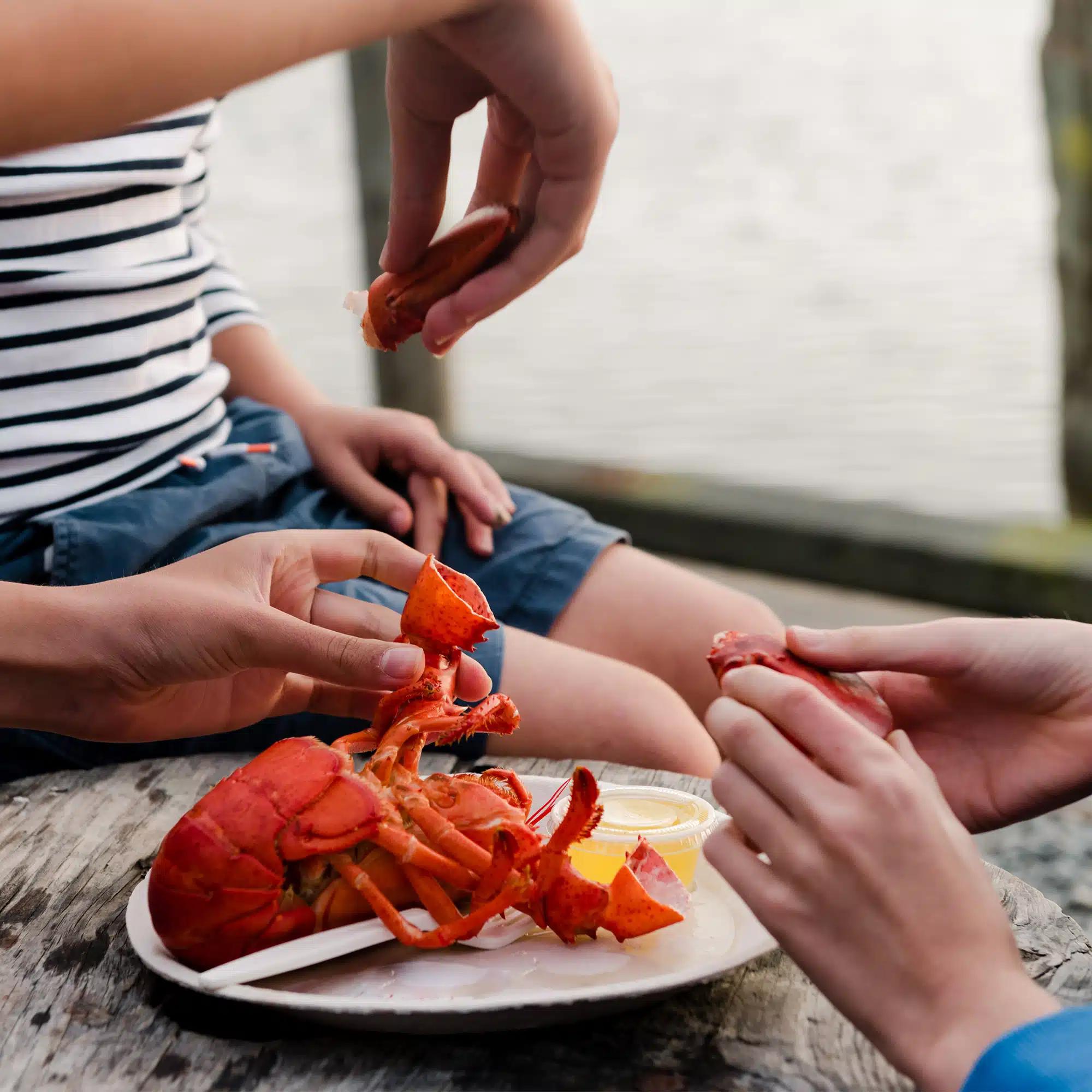 A close up of a family eating lobster at an outdoor table