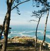 The cliffs at La Jolla