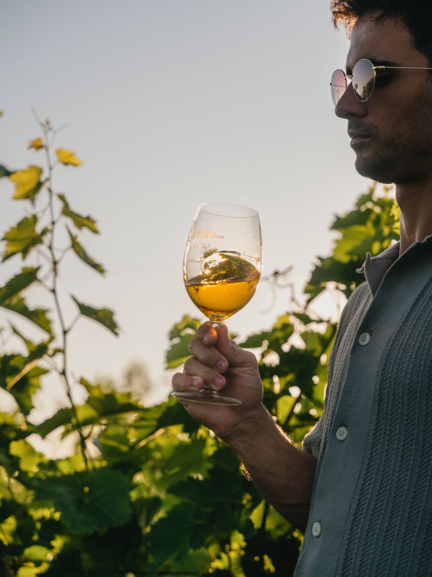 expedia_de-de_GuideToGeorgia_de - wine