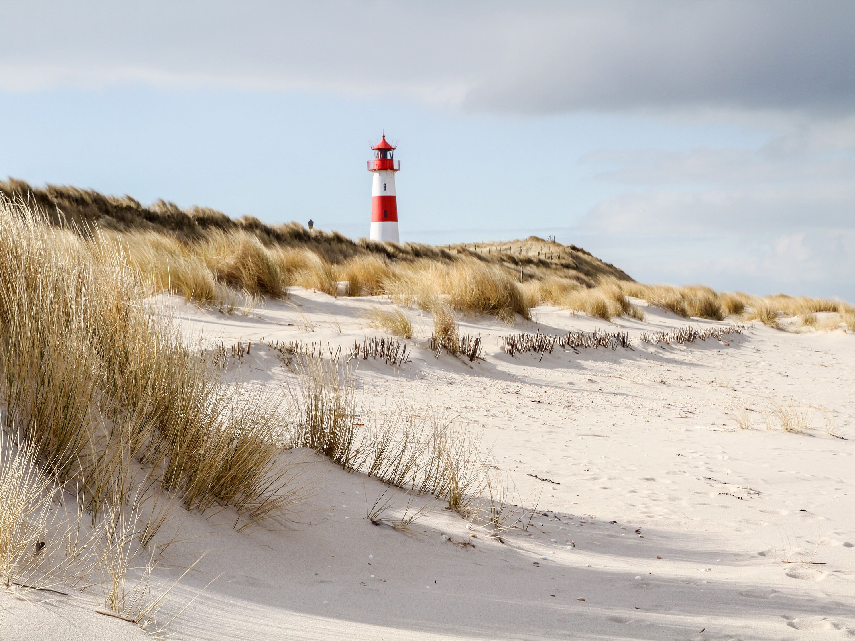 Seagrass at the edge of a white sand beach and red and white lighthouse in the distance.