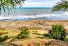 View through the trees of a beach area and waves lapping on the shore.