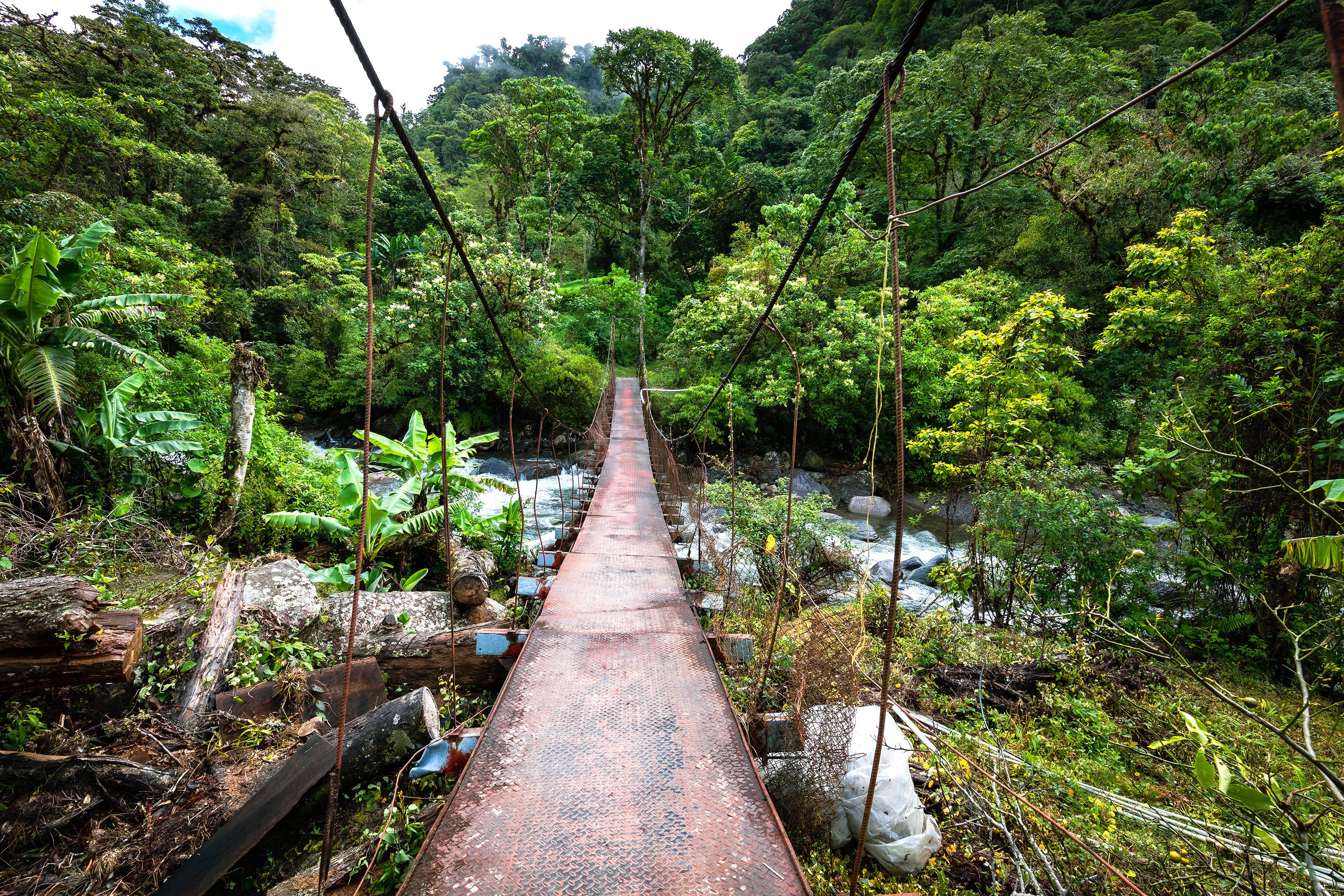 Rope suspension bridge through the rainforest.