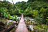 Rope suspension bridge through the rainforest.