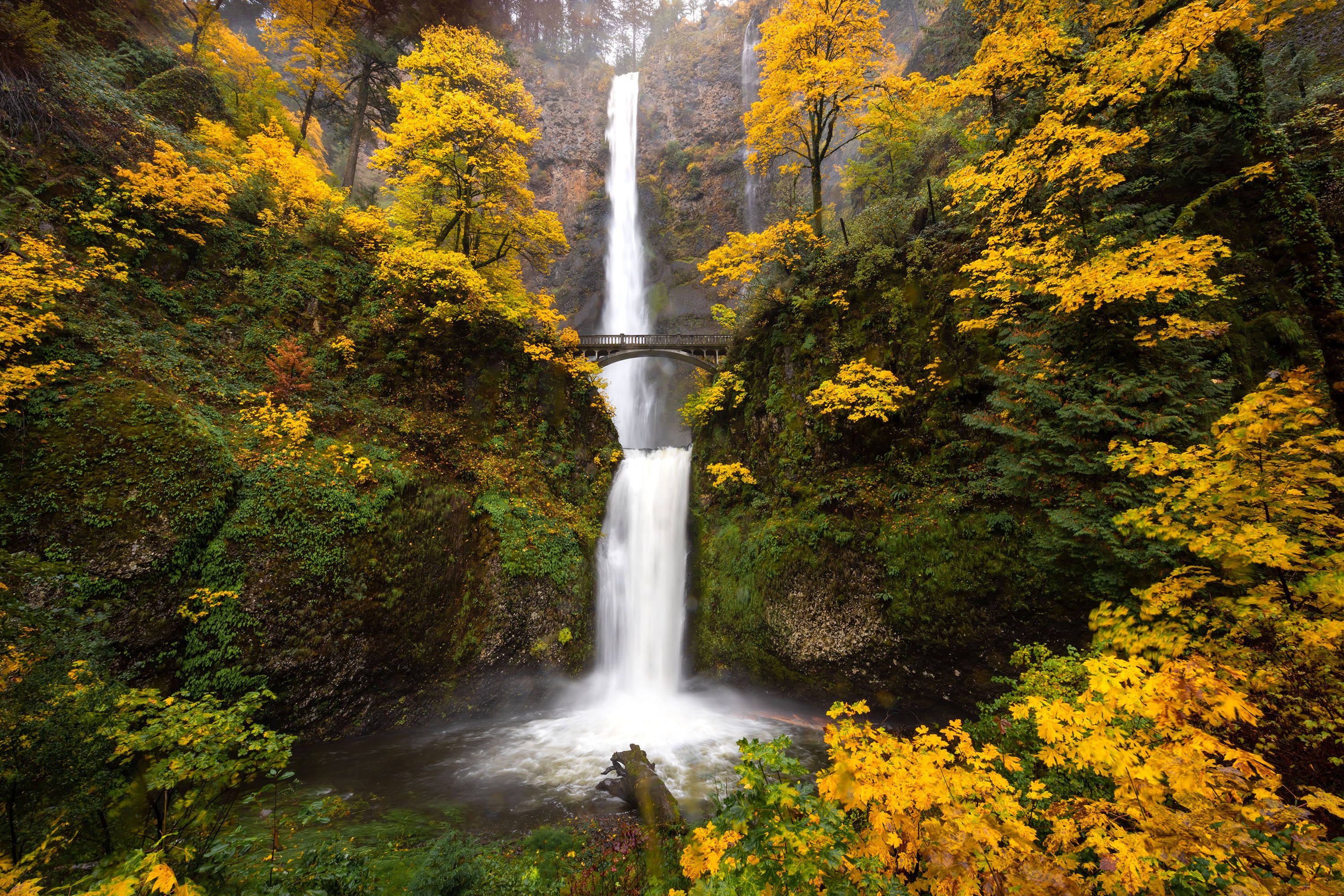 A tall and narrow waterfall cascading down to a pool of water, surrounded by trees in fall colors.