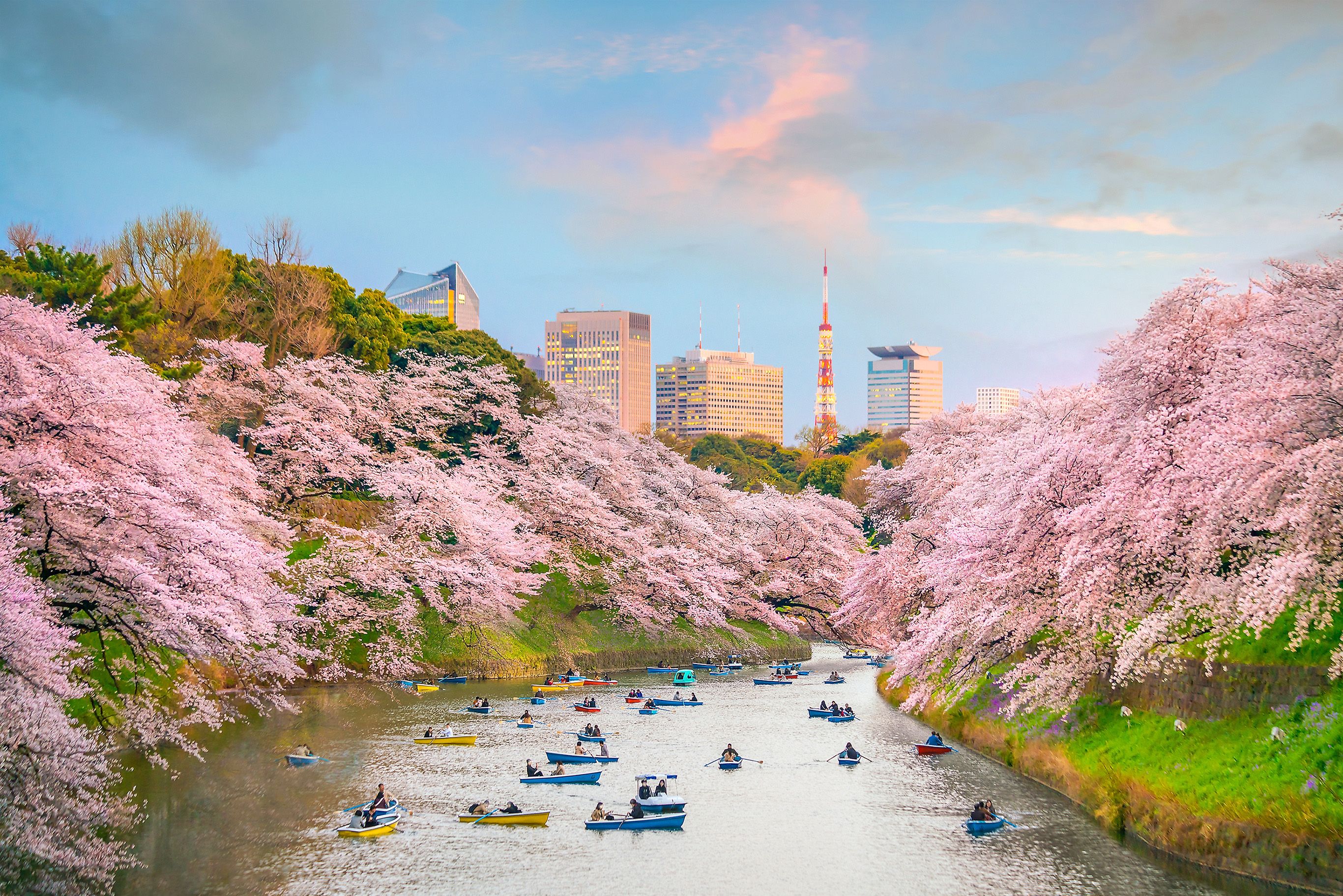 Nikmati Tokyo di segala musim