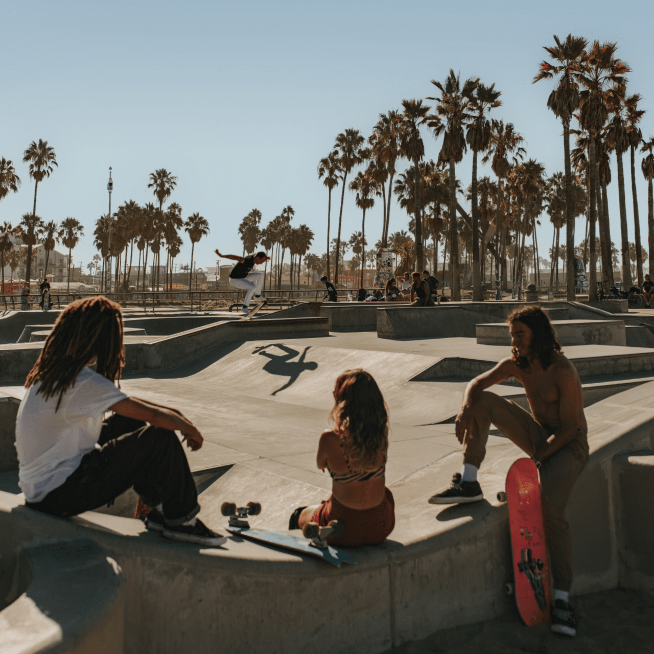 Skaters on a sunny day at the Venice Beach Skatepark in Los Angeles, California