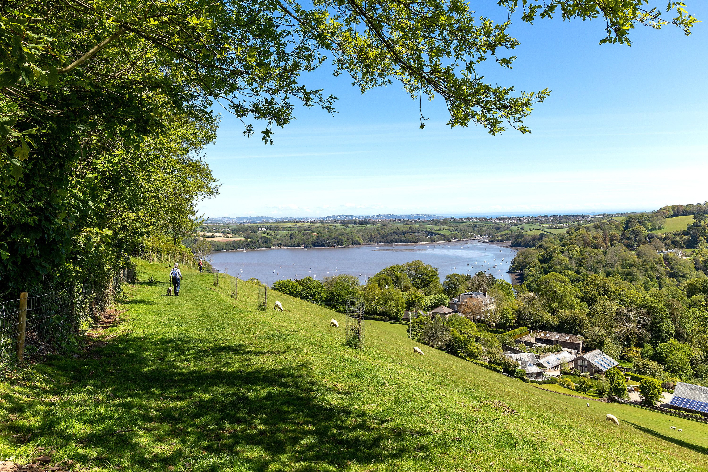 Trees tower over a sloping green gill overlooking cottages and water.