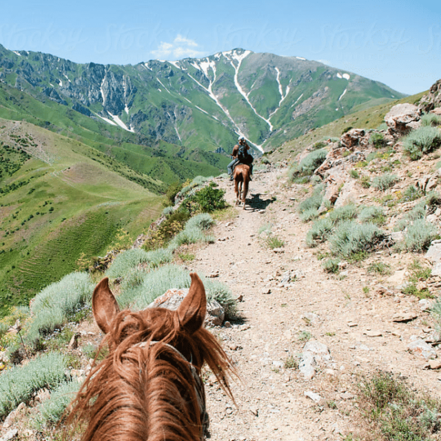Taken from atop a horse with the mane visible in the foreground, another horse carrying a rider walks along ahead on a rocky mountain trail with shrubbery dotting the hillside and a large, lush mountain far ahead in the distance