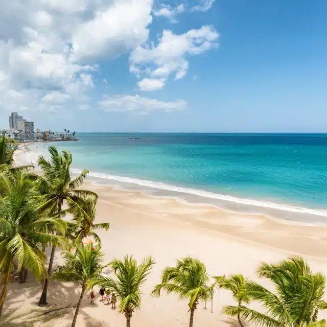 A sandy beach in San Juan, Puerto Rico, with palm trees, blue waters and the city skyline visible in the distance