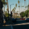 Tall palm trees tower over the traffic at Alexandria Plaza, Koreatown, LA