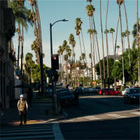 Tall palm trees tower over the traffic at Alexandria Plaza, Koreatown, LA