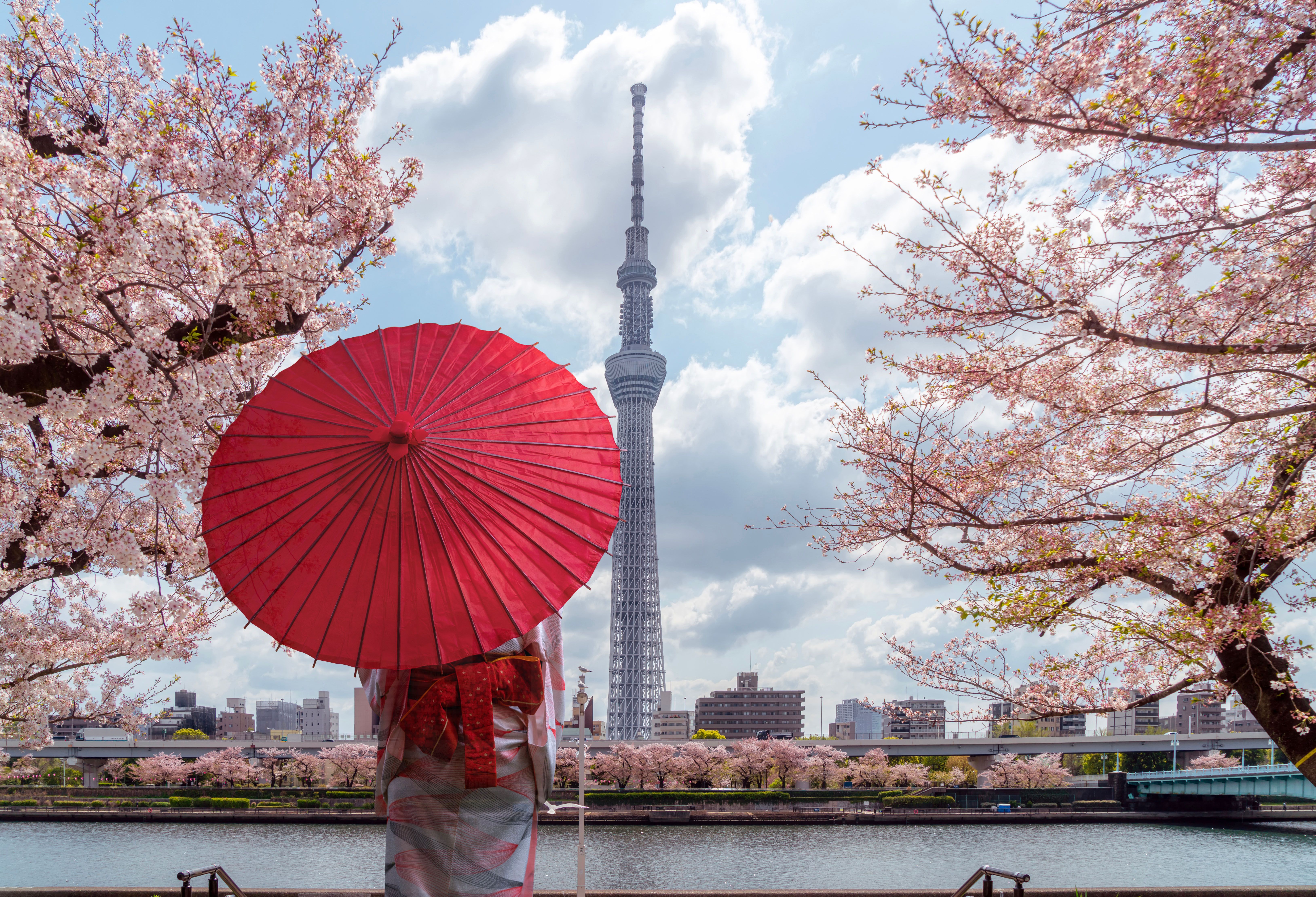 10 pengalaman Tokyo wajib dicoba