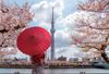 10 pengalaman Tokyo wajib dicoba