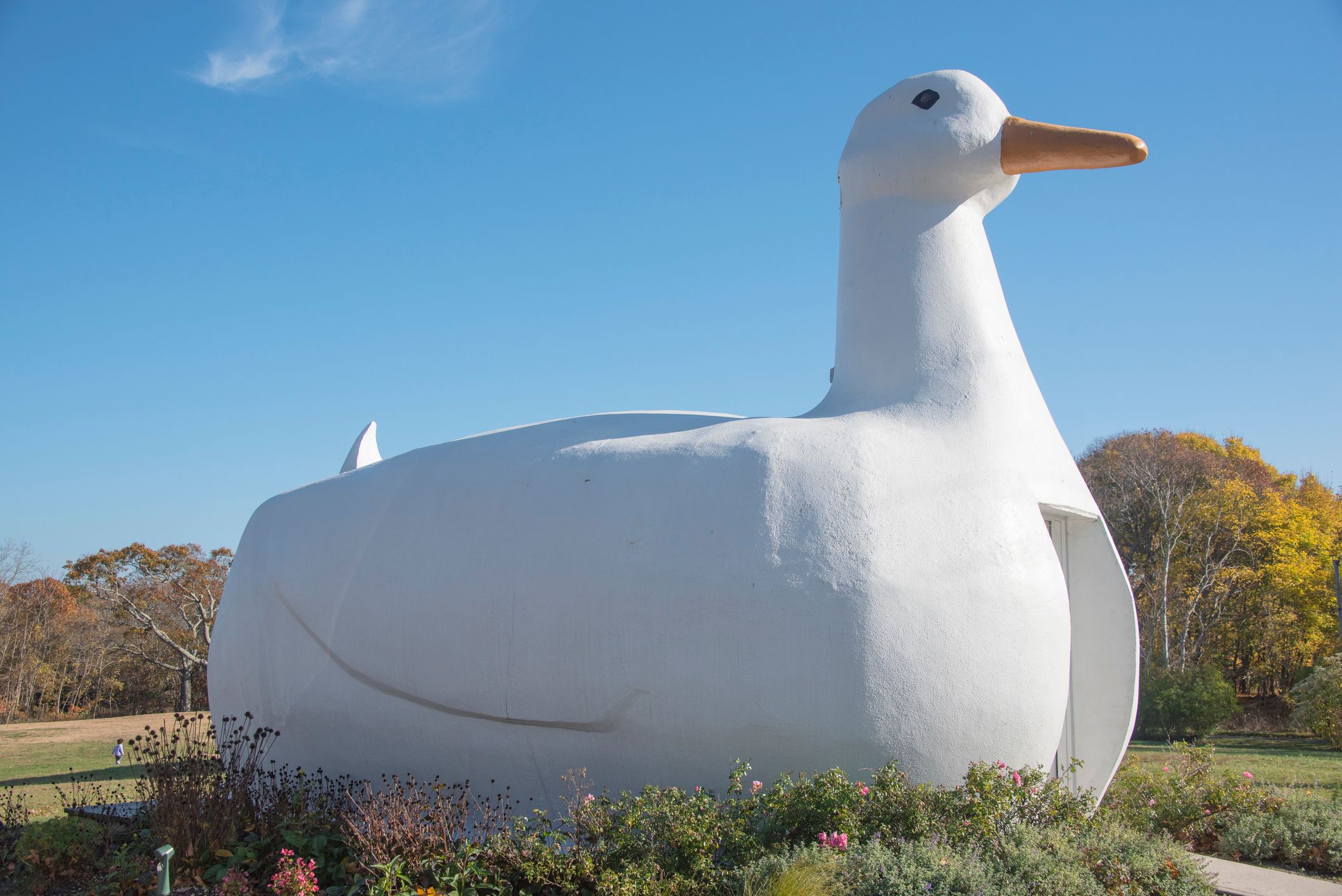 Image of The Big Duck landmark