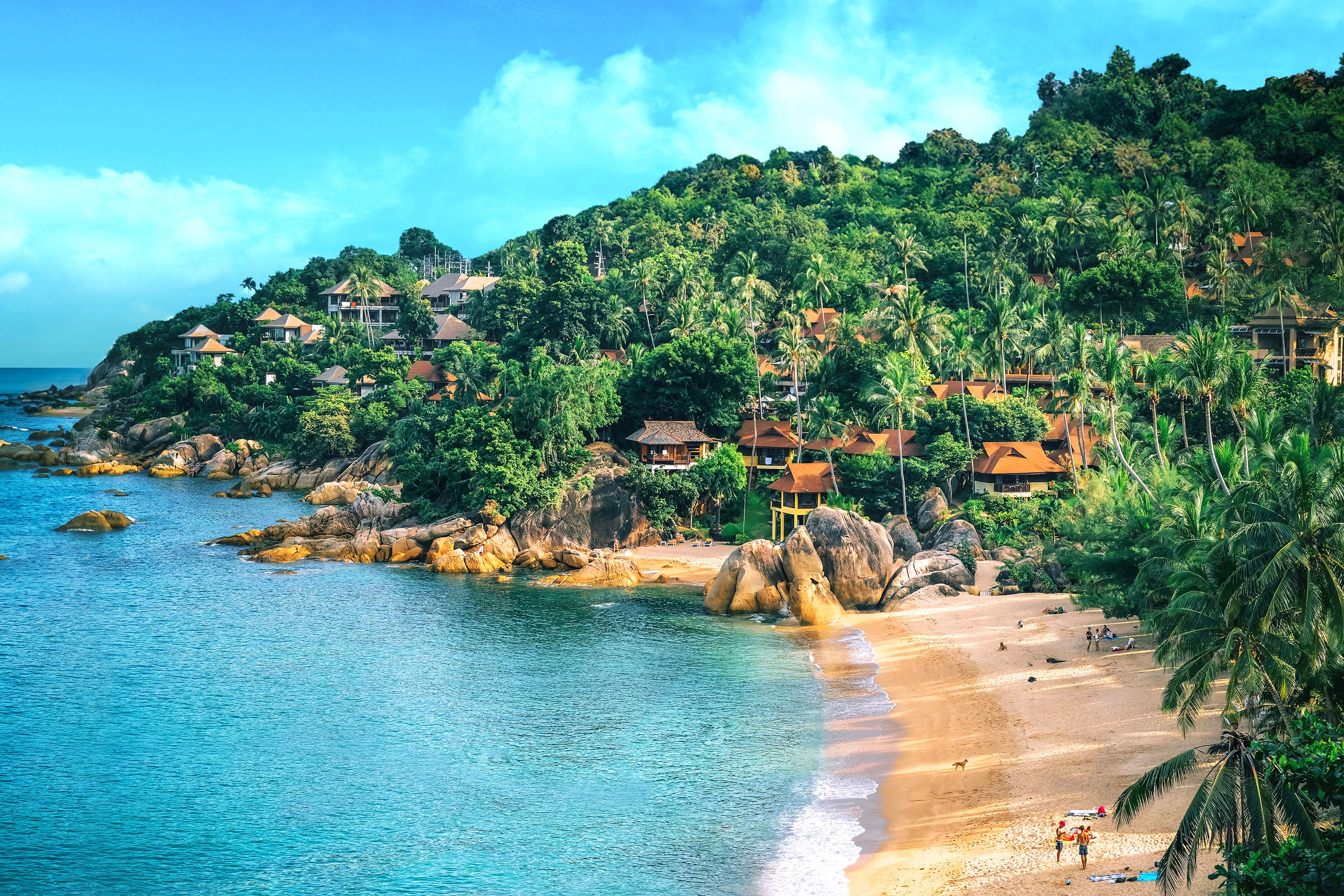 A lush, tropical hillside overlooks a sandy beach and turquoise water.