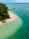 An overhead view of a beach with golden-white sand, green trees and surrounding blue ocean