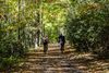 Two bikers ride on a dirt trail in the forest.