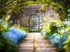 Blue flowers and greenery under an archway and an iron door.