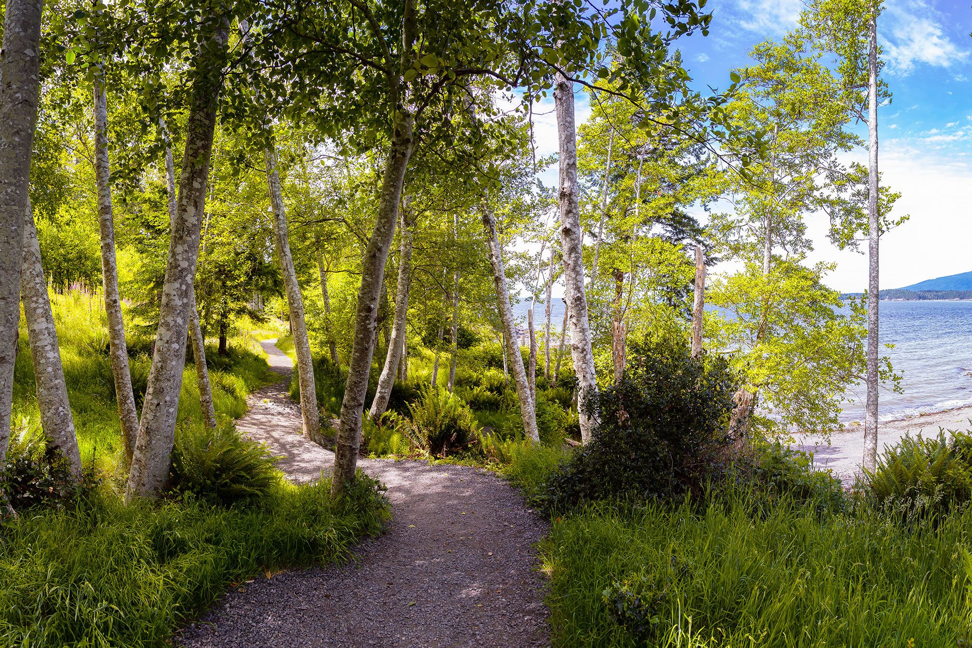 View of a trail through the woods with a lake and mountain to the right during a sunny day in Bowen Island, British Columbia.