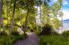 View of a trail through the woods with a lake and mountain to the right during a sunny day in Bowen Island, British Columbia.