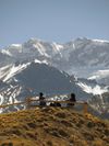 Two people sit on a bench at the top of a grassy bank with a snow-capped Andean mountain in the distance in Mendoza, Argentina