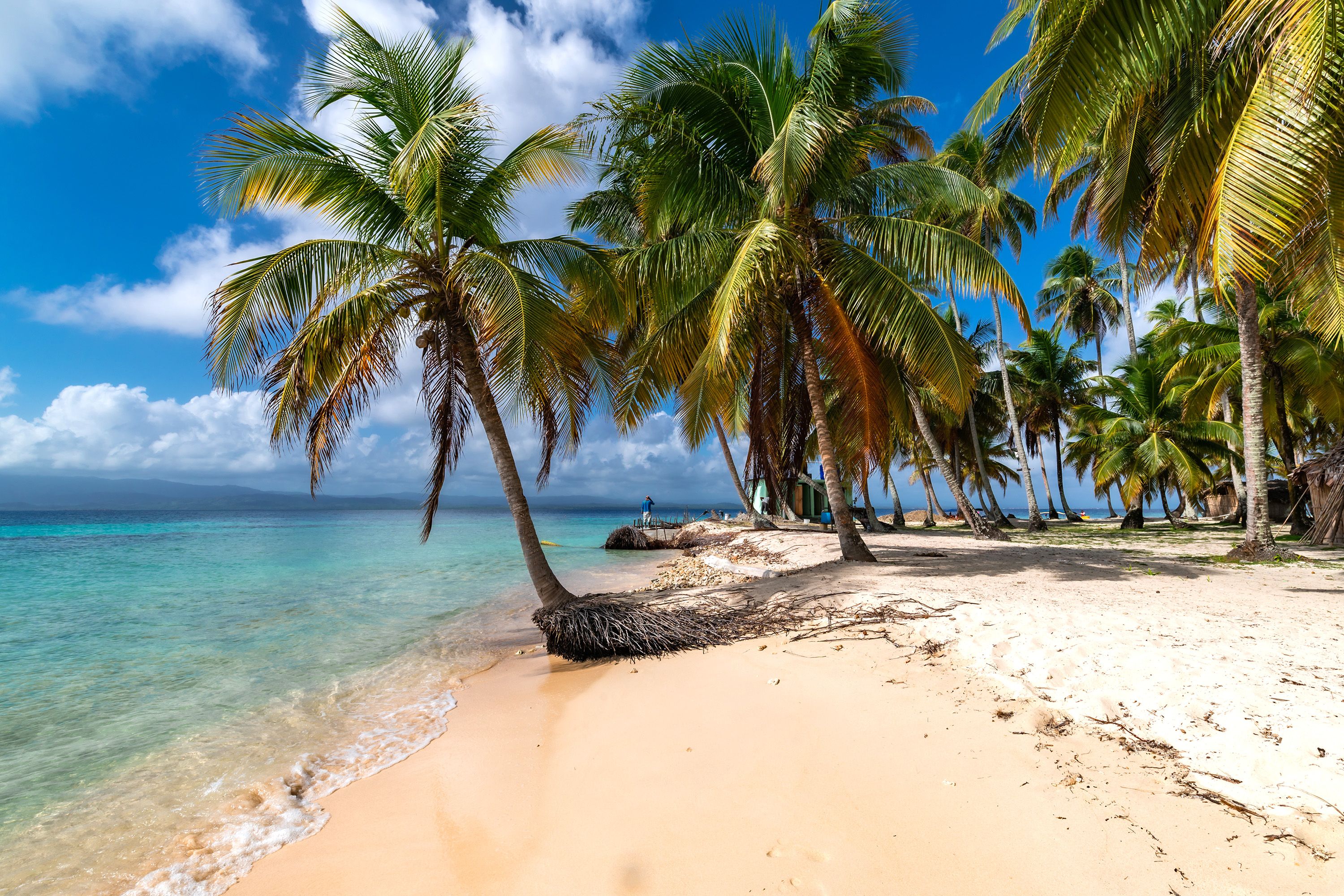 Ocean and white sand beach with several palm trees.