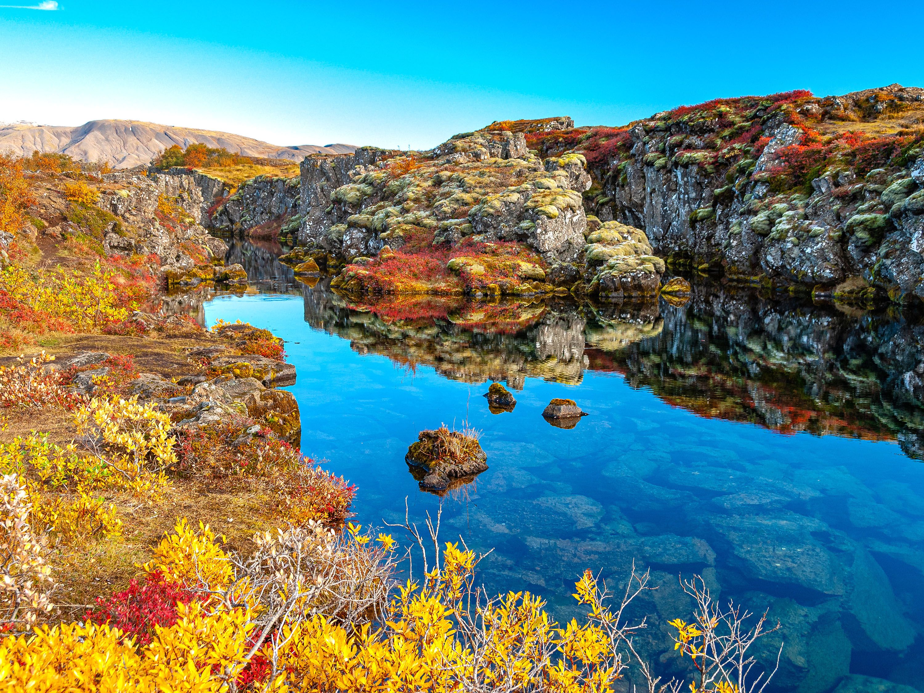 Gold and yellow leaves and a clear water stream.