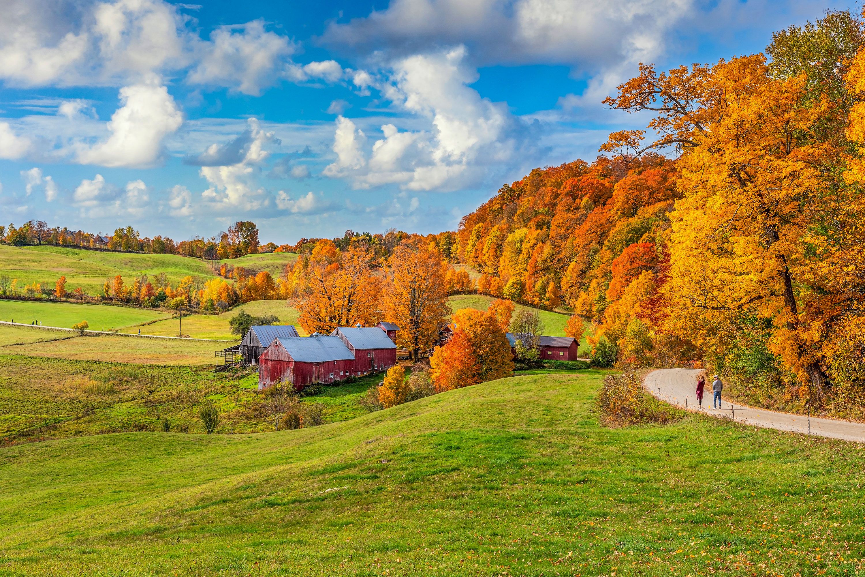 Rustic red farm structures in rolling green hills under a bright cloudy sky are surrounded by brightly colored red and yellow leafed trees.