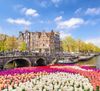 Amsterdam Canal with Tulips and Historic Buildings