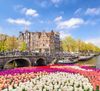 Amsterdam Canal with Tulips and Historic Buildings