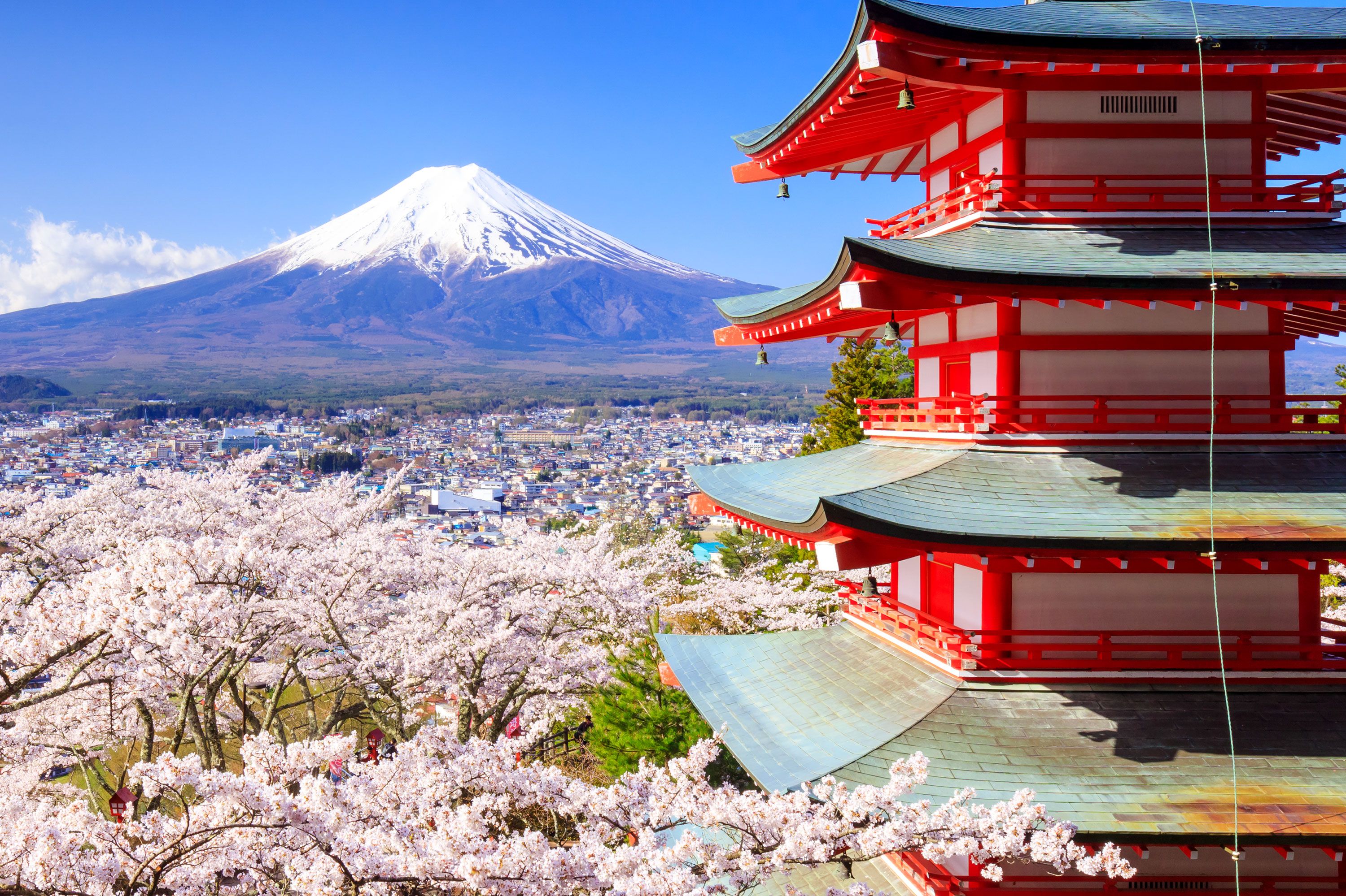 A red and white pagoda stands beside blooming cherry trees with Mount Fuji towering in the background above the city below.