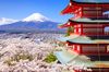 A red and white pagoda stands beside blooming cherry trees with Mount Fuji towering in the background above the city below.