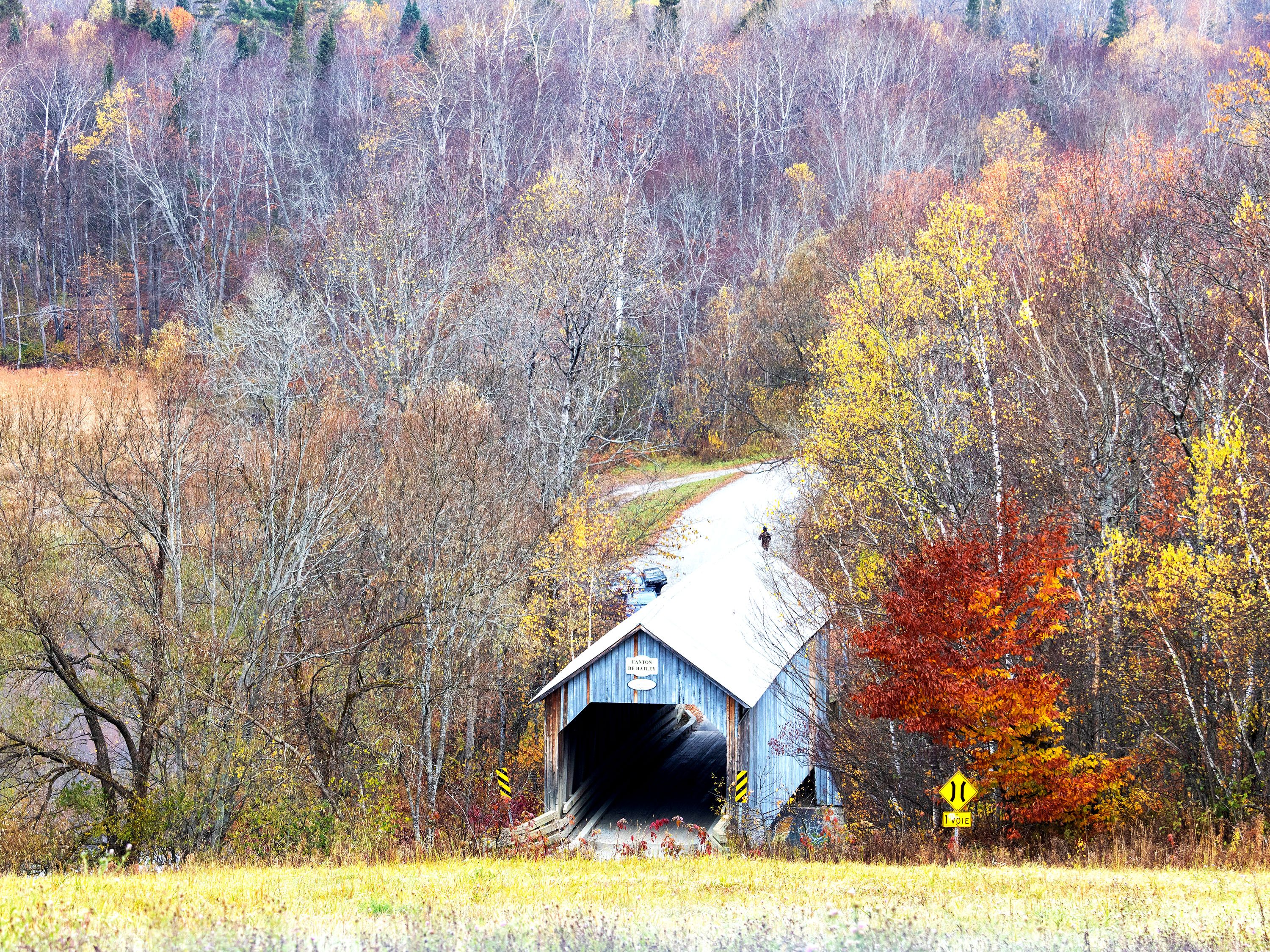 Covered bridge and autumn colors in the trees.