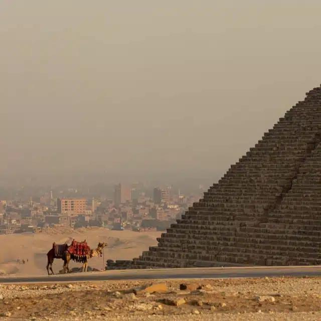 Two camels in hazy light at the base of a pyramid, Egypt