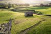 Rural view with meadows, sheep, stone walls and a stone house in Yorkshire Dawes National Park.