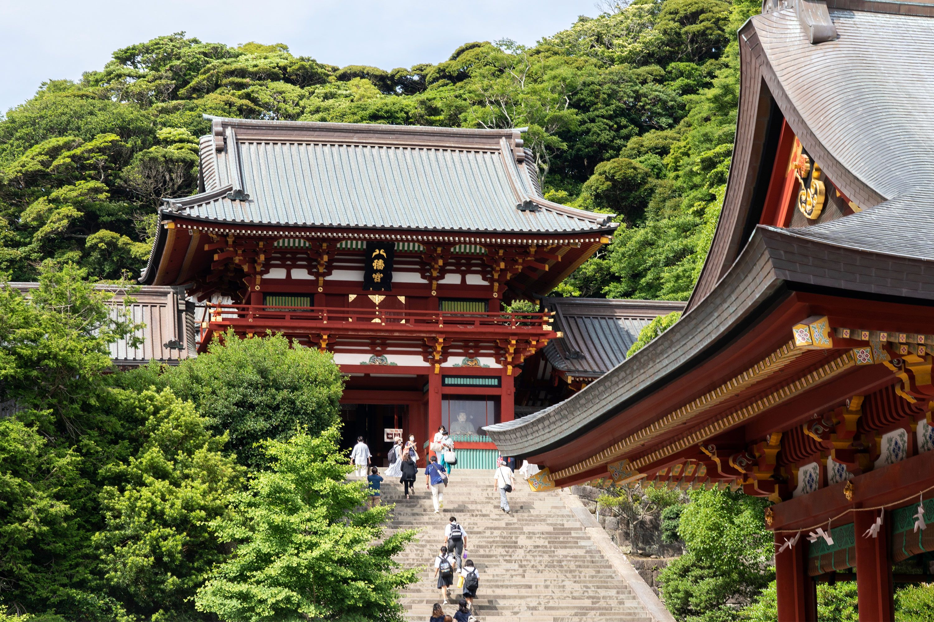 Wooden buildings of Hasedera Temple perched on a forested hillside in Kamakura, surrounded by dense greenery and temple rooftops.