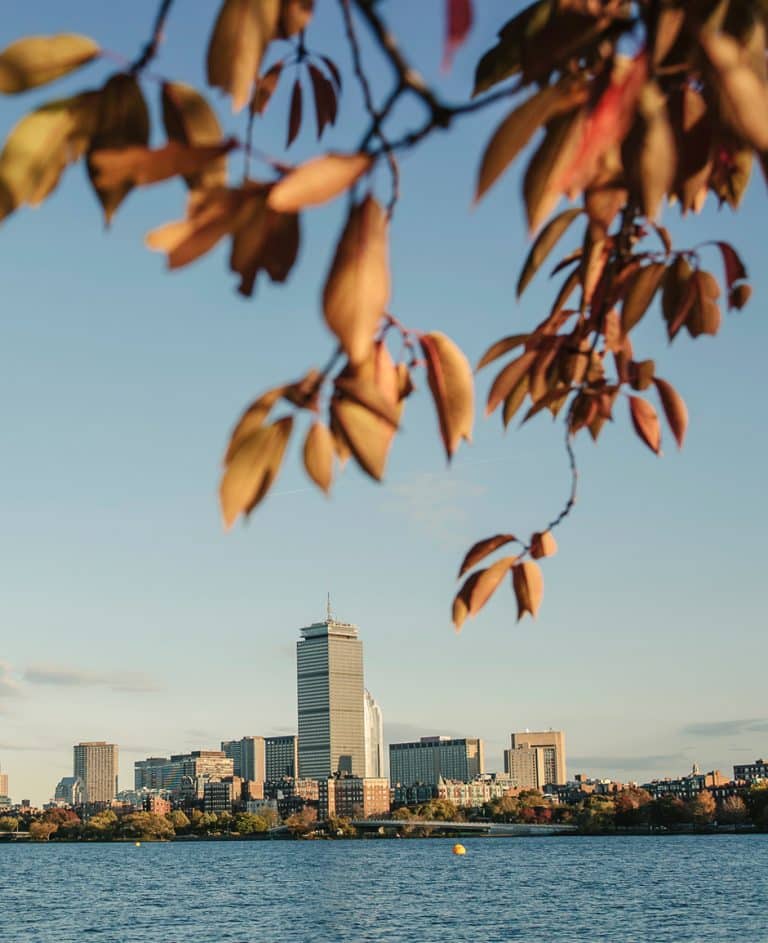 Boston's skyline seen with autumnal leaves in the foreground