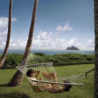 Two women laze in a hammock between palm trees, the sea visible beyond