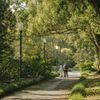 A couple walk along a path with rich green foliage on both sides
