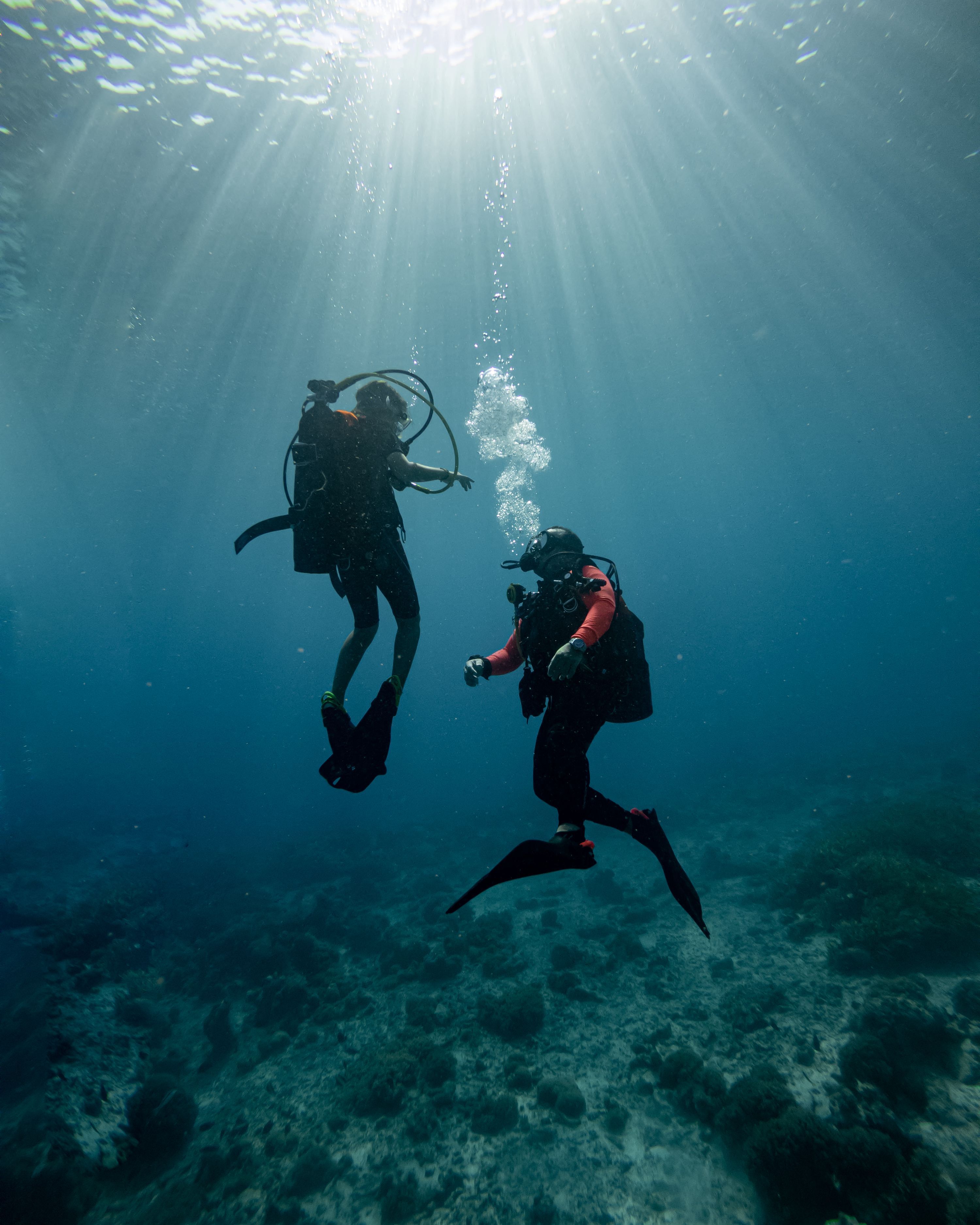 Two scuba divers exploring a coral reef beneath sunlit waters.