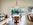 Leighton House - Evandale, TAS - Dining Room