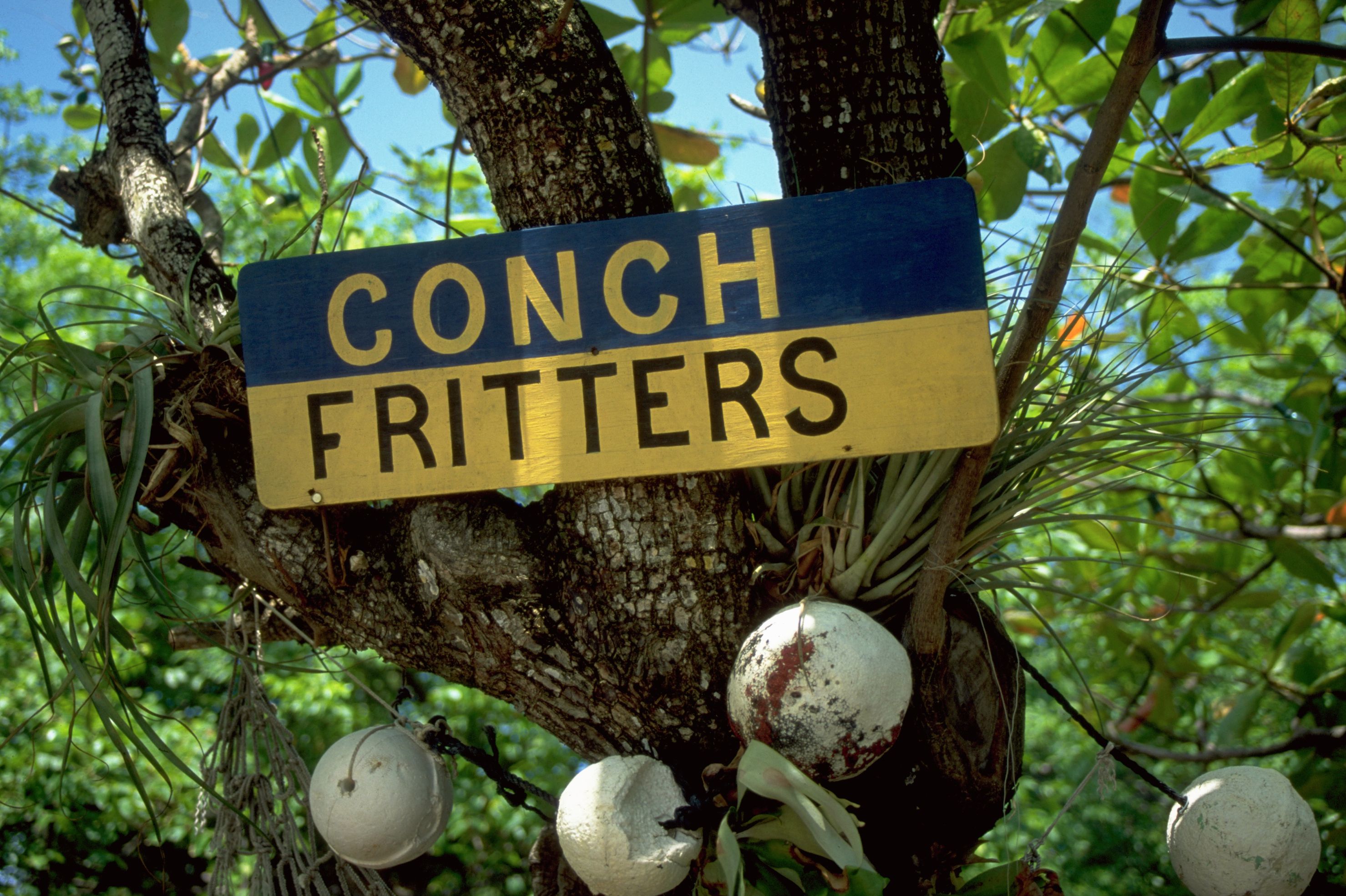 Across the Bahamas, conch is served in countless delicious ways, from zesty conch salad and golden fritters to cracked conch, hearty chowders, and rich island stews.