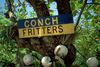 Across the Bahamas, conch is served in countless delicious ways, from zesty conch salad and golden fritters to cracked conch, hearty chowders, and rich island stews.