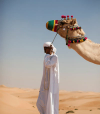 A man swathed in white leads a camel wearing a harness decorated with pompoms in the desert near Dubai