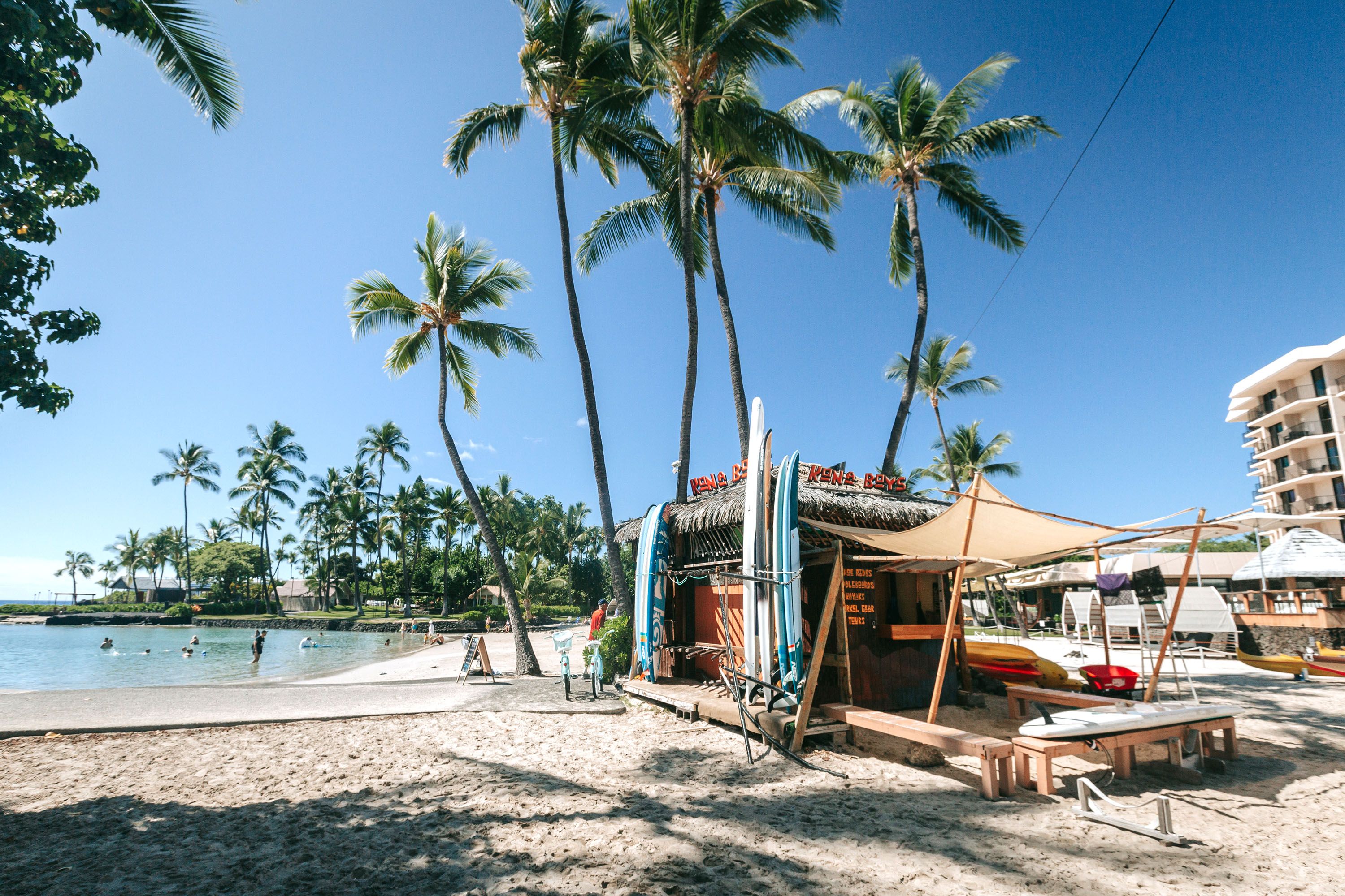 A beach shack renting out surf boards on a sandy beach with palm trees.